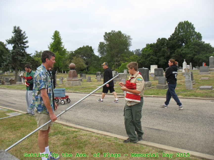 Picture 0006