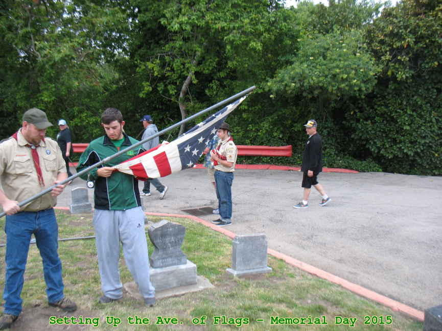 Picture 0008