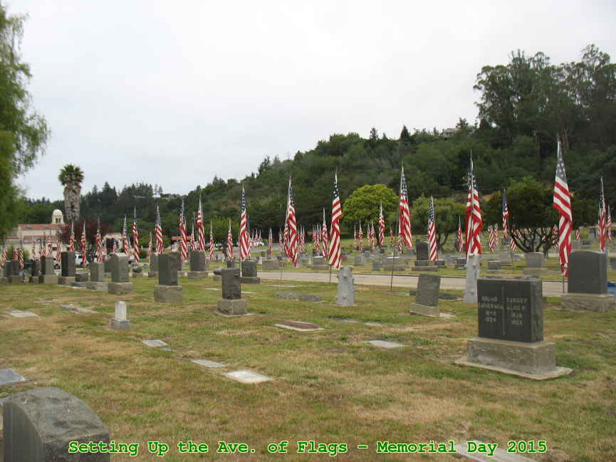Picture 0011
