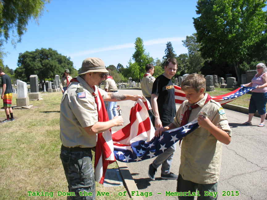 Picture 0016