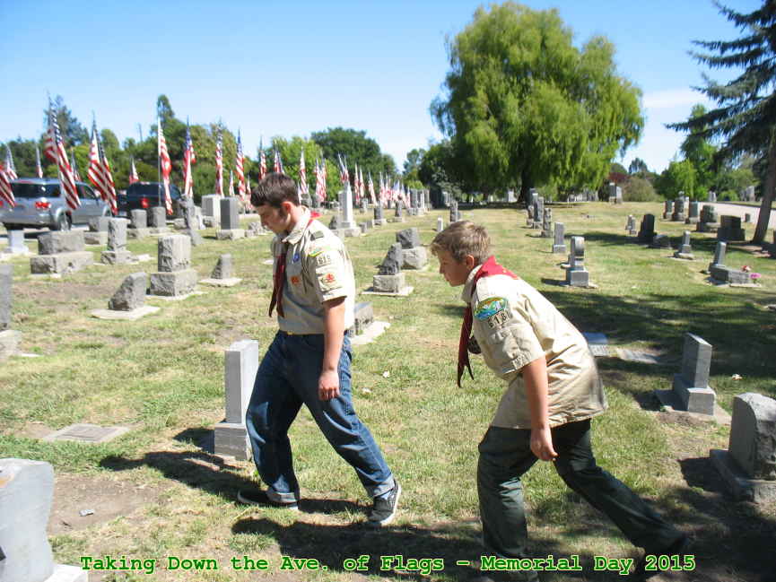 Picture 0017