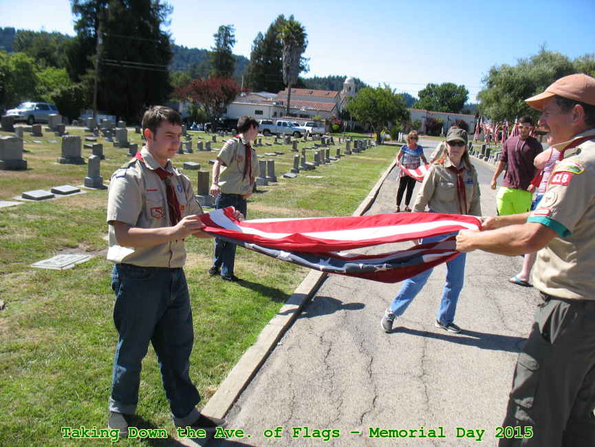 Picture 0027