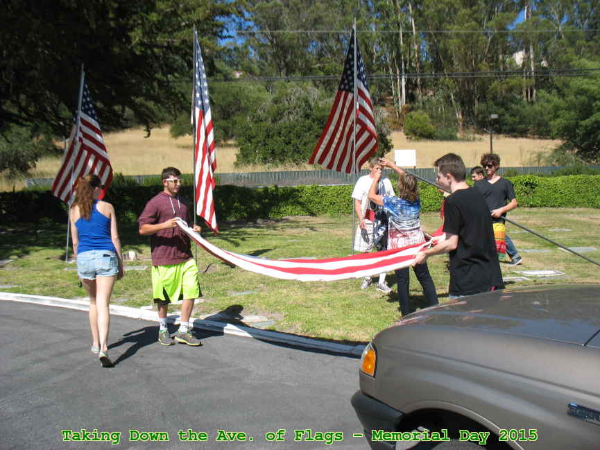 Picture 0029