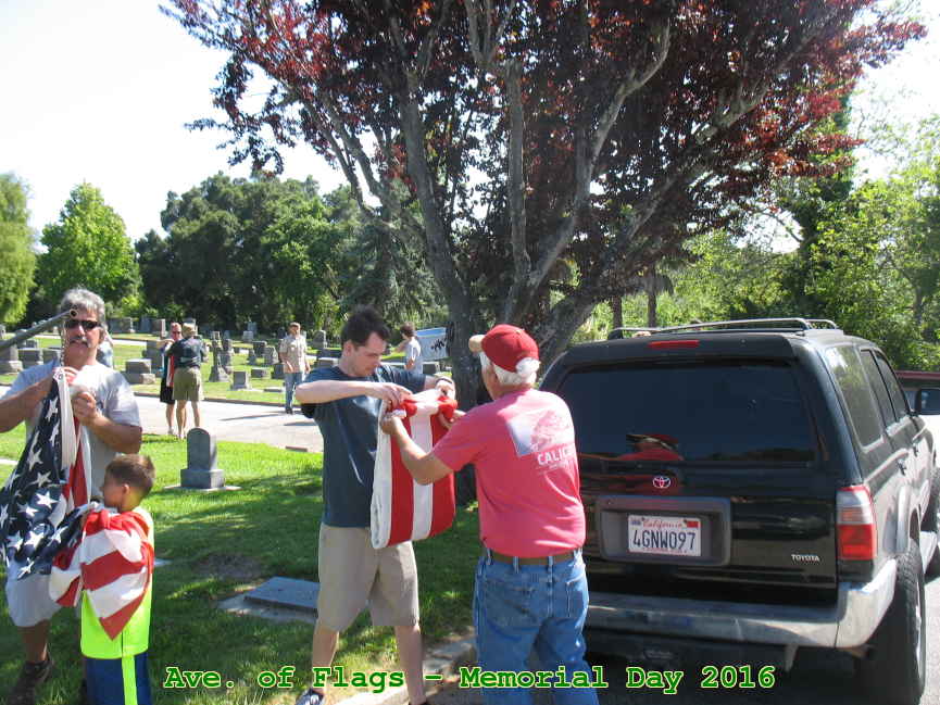 Picture 0009