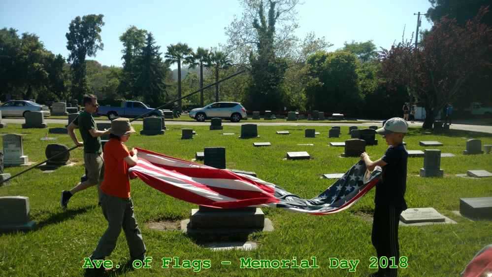 Picture 0013