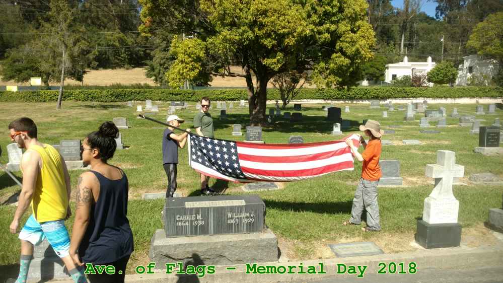Picture 0015