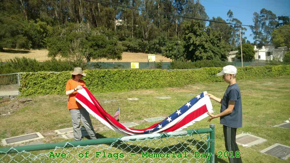 Picture 0017