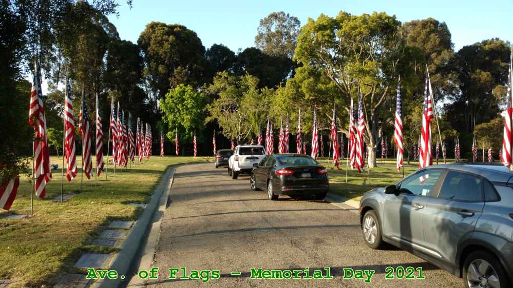 Picture 0003