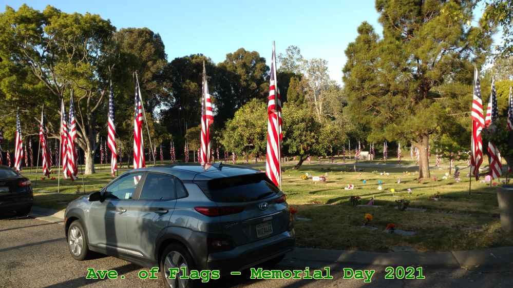 Picture 0004