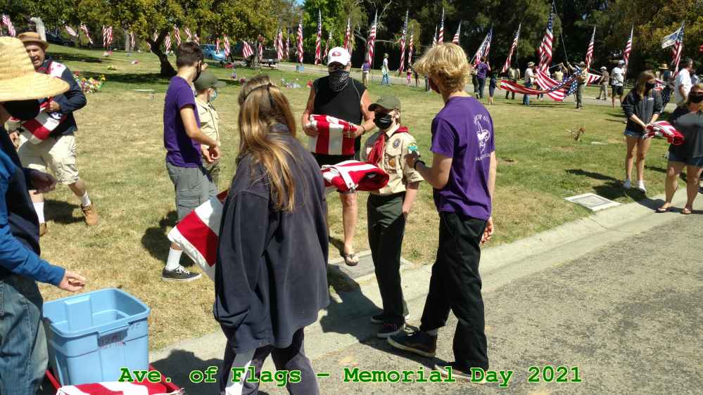 Picture 0010