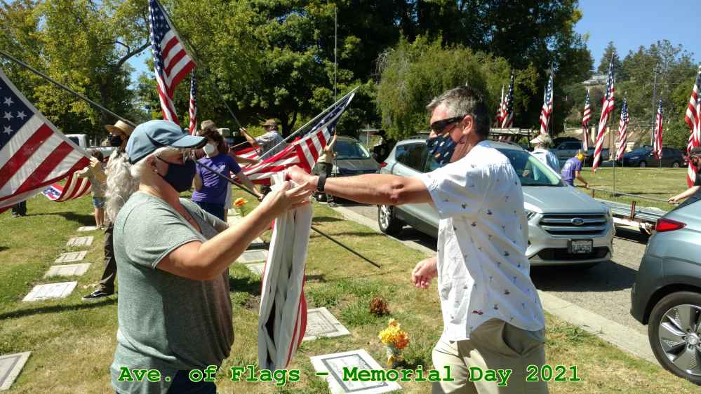 Picture 0012