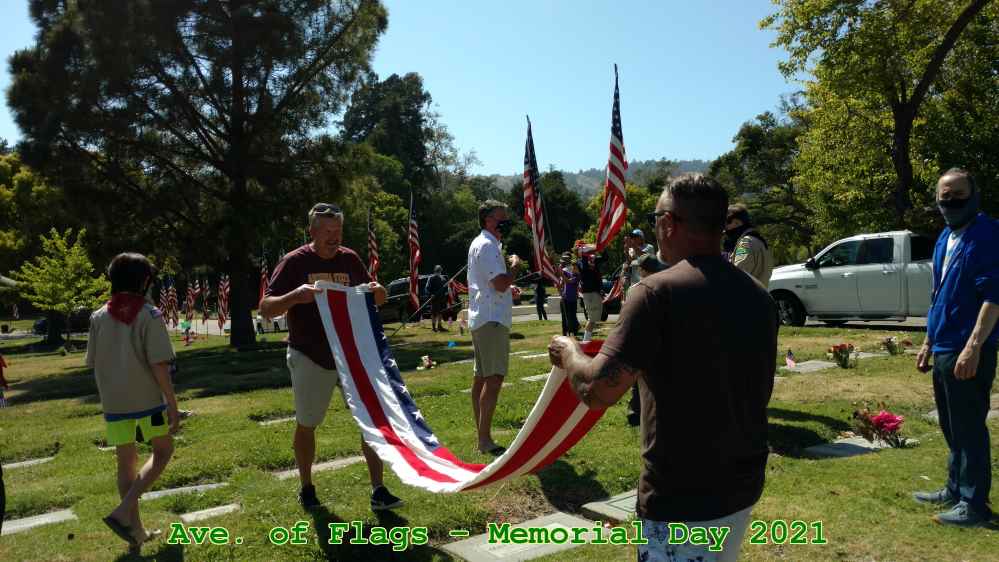 Picture 0013