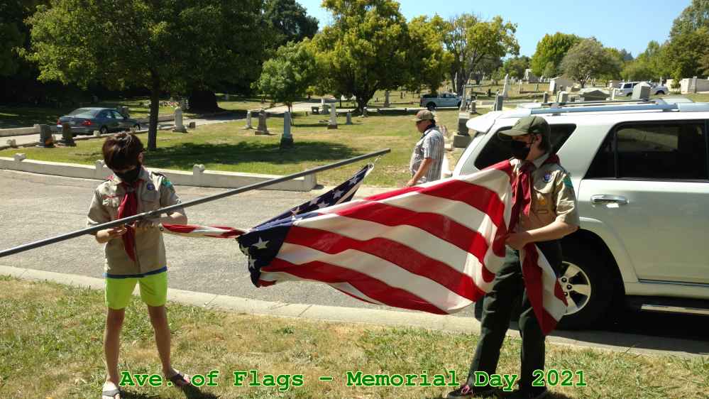 Picture 0016