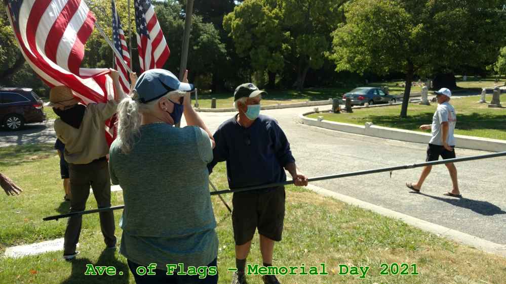 Picture 0017