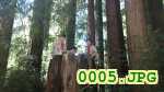 Picture 0005