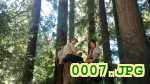 Picture 0007