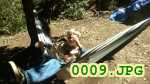 Picture 0009
