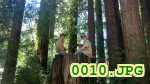 Picture 0010