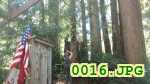 Picture 0016