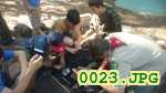 Picture 0023