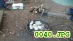 Picture 0040
