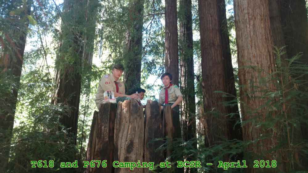 Picture 0005