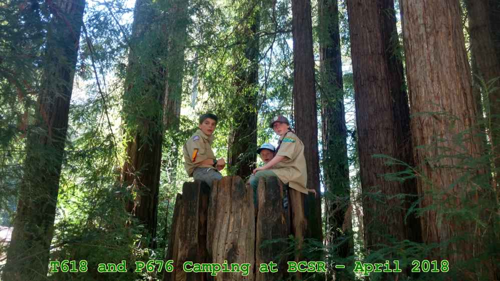 Picture 0010