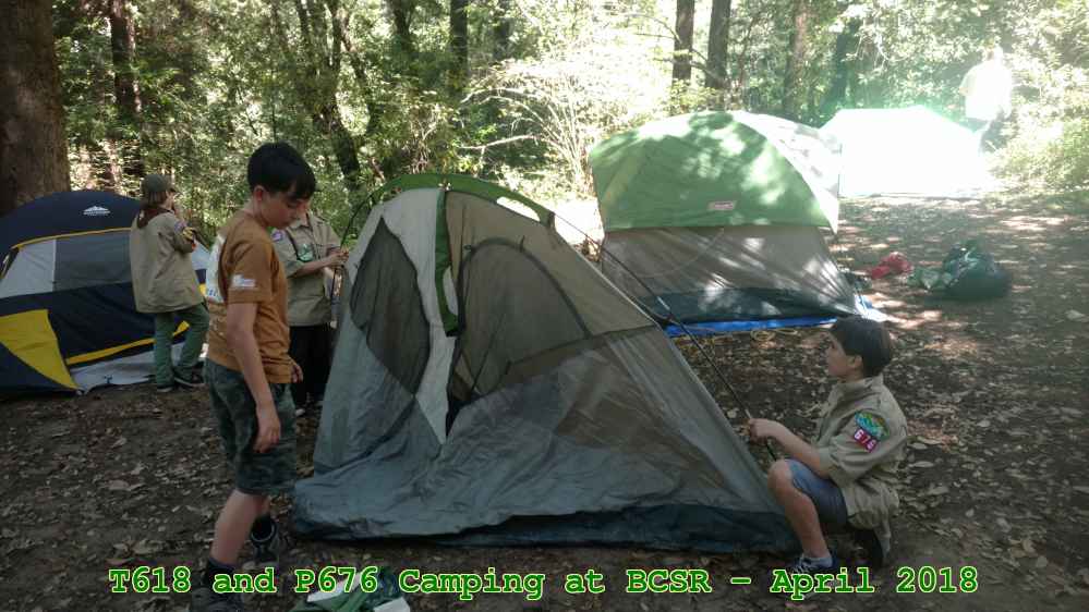 Picture 0011