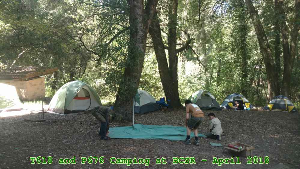 Picture 0014