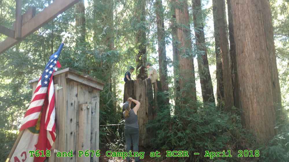 Picture 0016