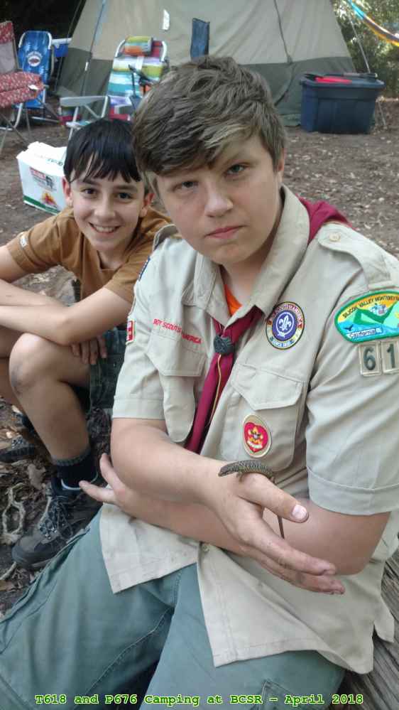 Picture 0025