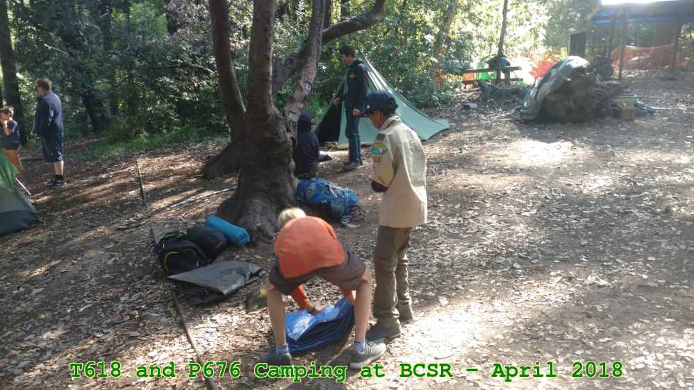 Picture 0063