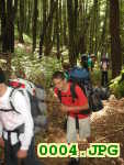 Picture 0004
