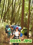 Picture 0005