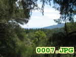 Picture 0007