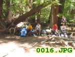 Picture 0016