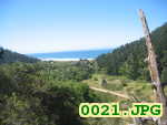 Picture 0021
