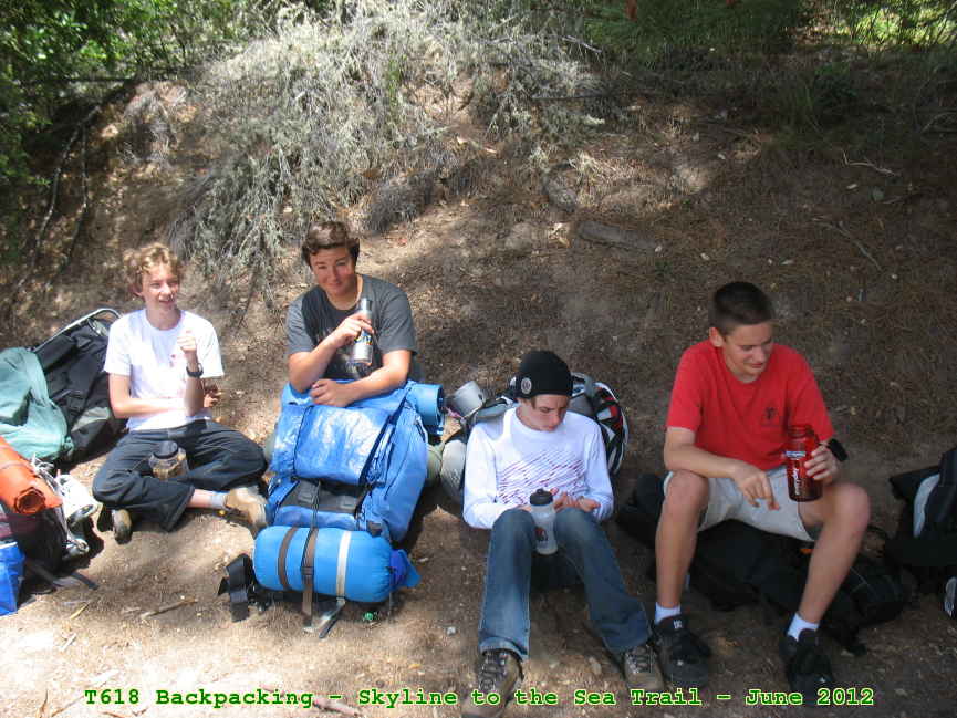 Picture 0006