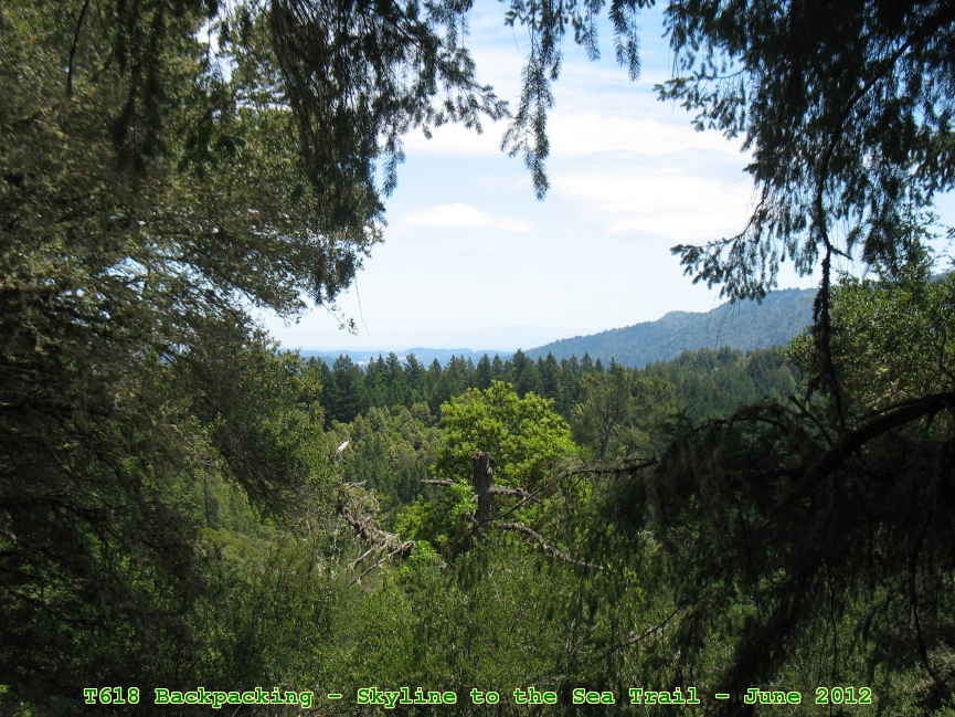 Picture 0007