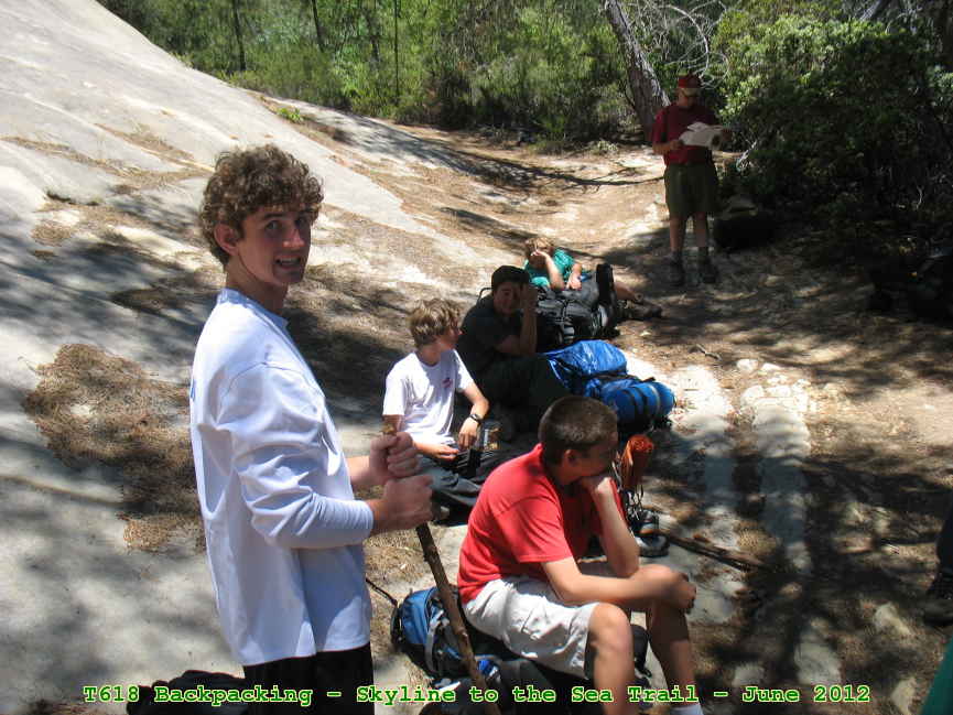 Picture 0008