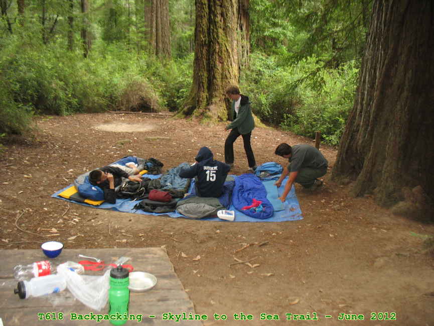 Picture 0010