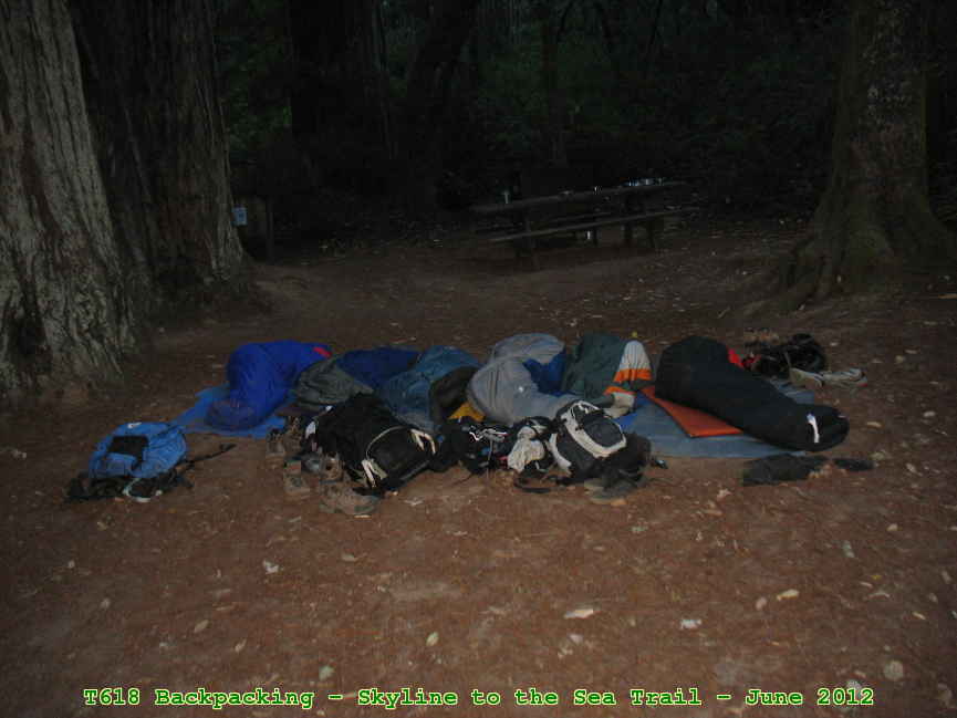Picture 0012