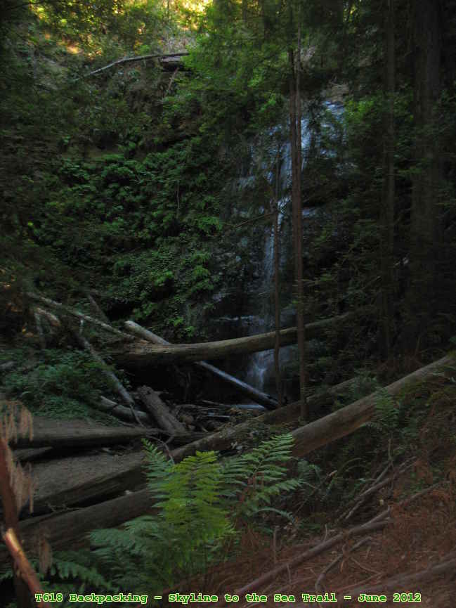 Picture 0019