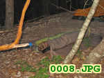 Picture 0008