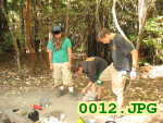 Picture 0012