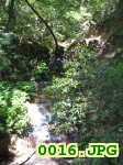 Picture 0016
