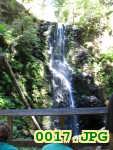 Picture 0017