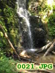 Picture 0021
