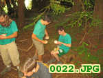 Picture 0022