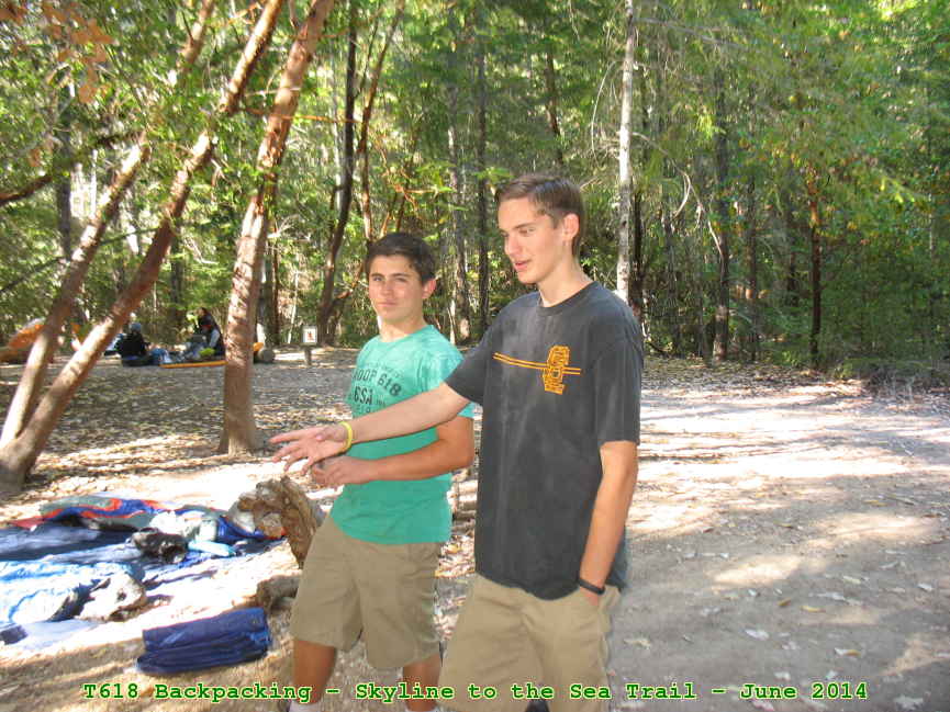 Picture 0003